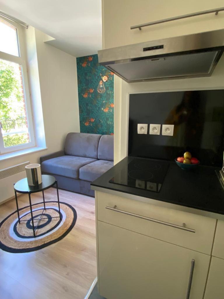 Charman Studi Au Coeur De Lille Apartment Exterior foto